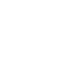 80